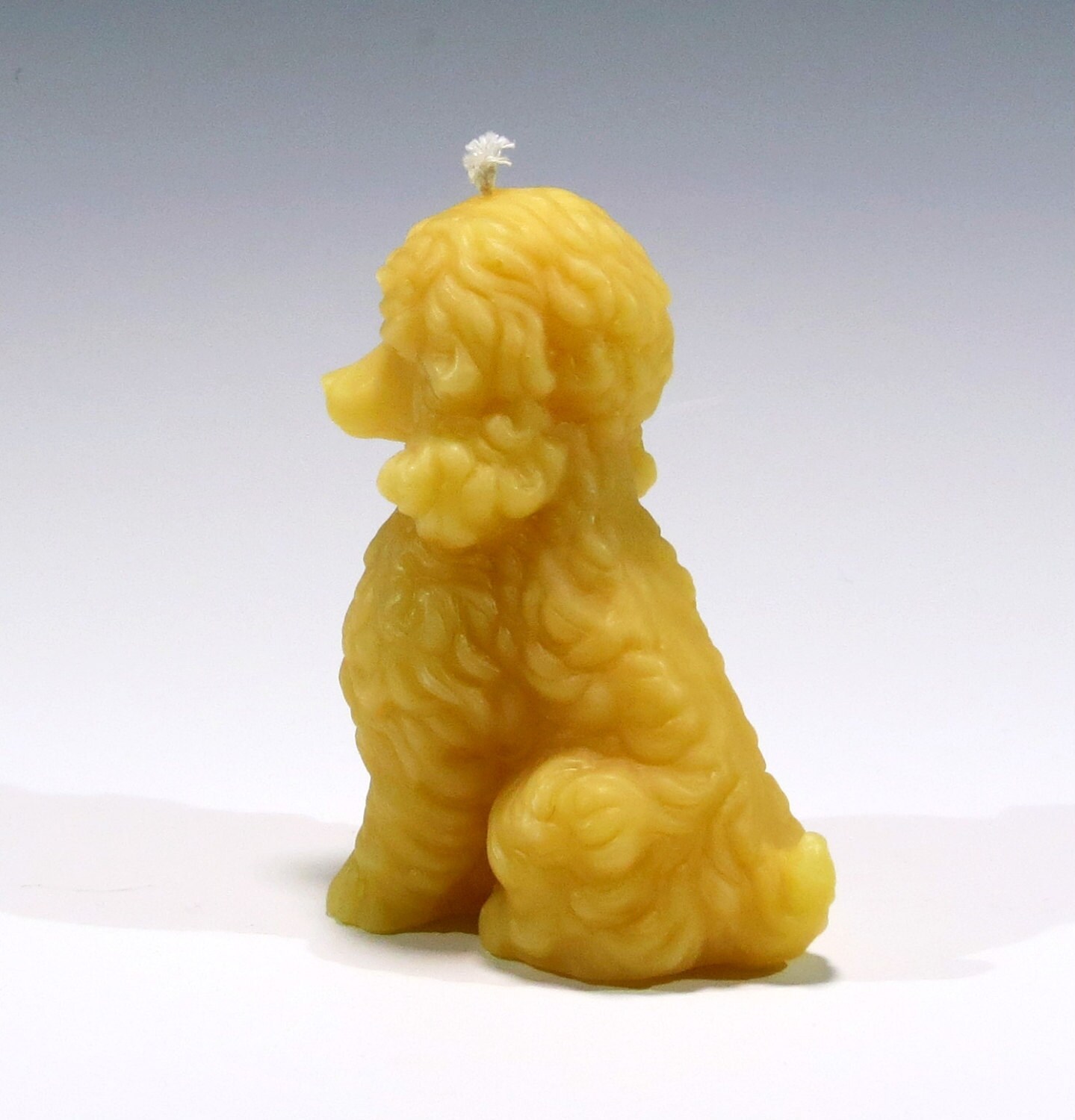 Beeswax French Poodle Candle Beeswax Dog Candle Puppy Dog Etsy
