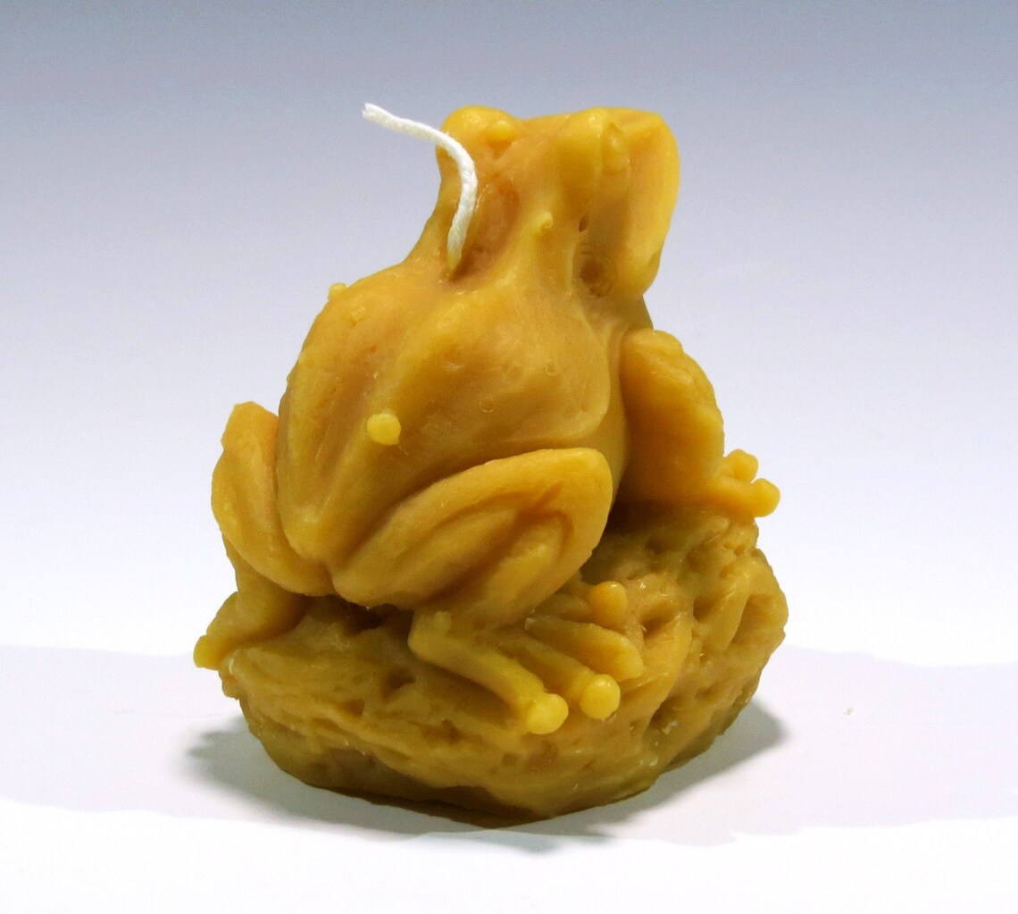 Beeswax Candle Bull Frog Frog Candle Reptile Candle Honey Etsy