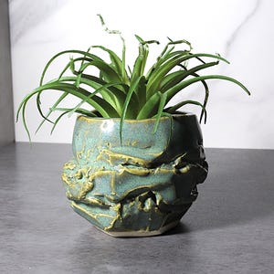May include: A teal ceramic planter with a textured, rugged exterior, holding a vibrant green plant with long, slender leaves. The planter has a unique, handcrafted appearance, adding a touch of nature-inspired decor.