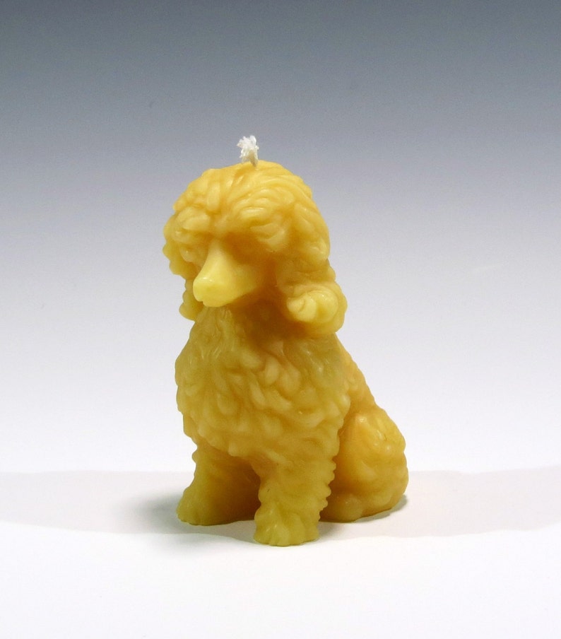 Beeswax French Poodle Candle Beeswax Dog Candle Puppy Dog Etsy