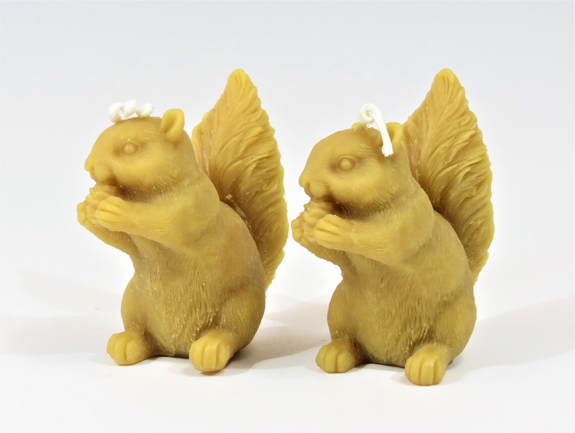 Two Beeswax Squirrel Candles Wildlife Candles Squirrel Eating Etsy