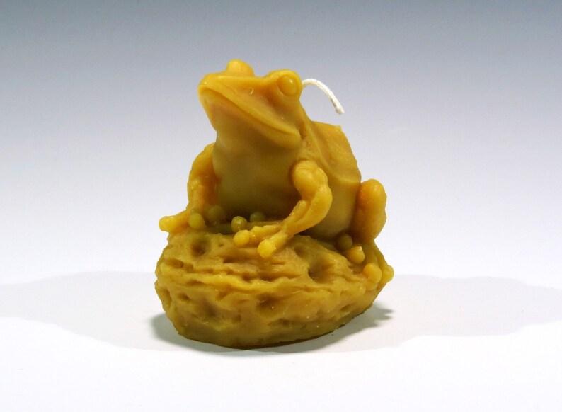 Beeswax Candle Bull Frog Frog Candle Reptile Candle Honey Etsy