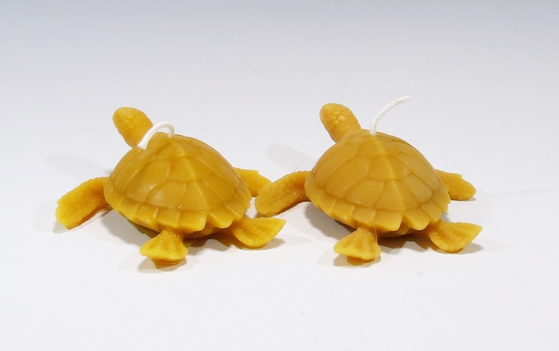 Hand Poured Beeswax Sea Turtle Candles: Honey Scented Nautical Decor - Etsy