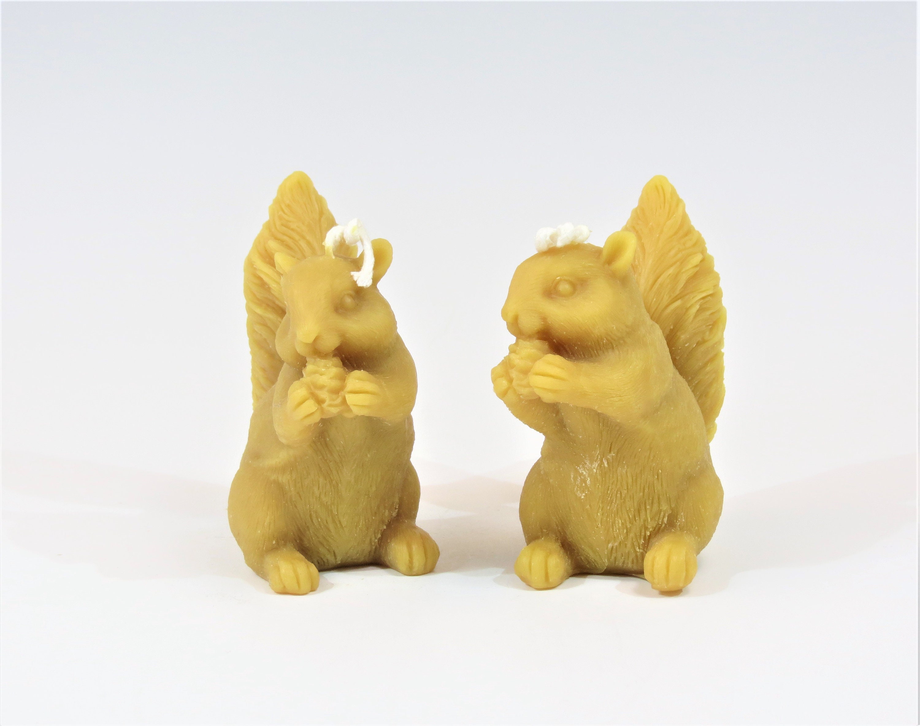 Two Beeswax Squirrel Candles Wildlife Candles Squirrel Eating Etsy