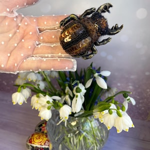 hand-felted wool brooch, jewelry, gift for a woman, wool, embroidery, beads