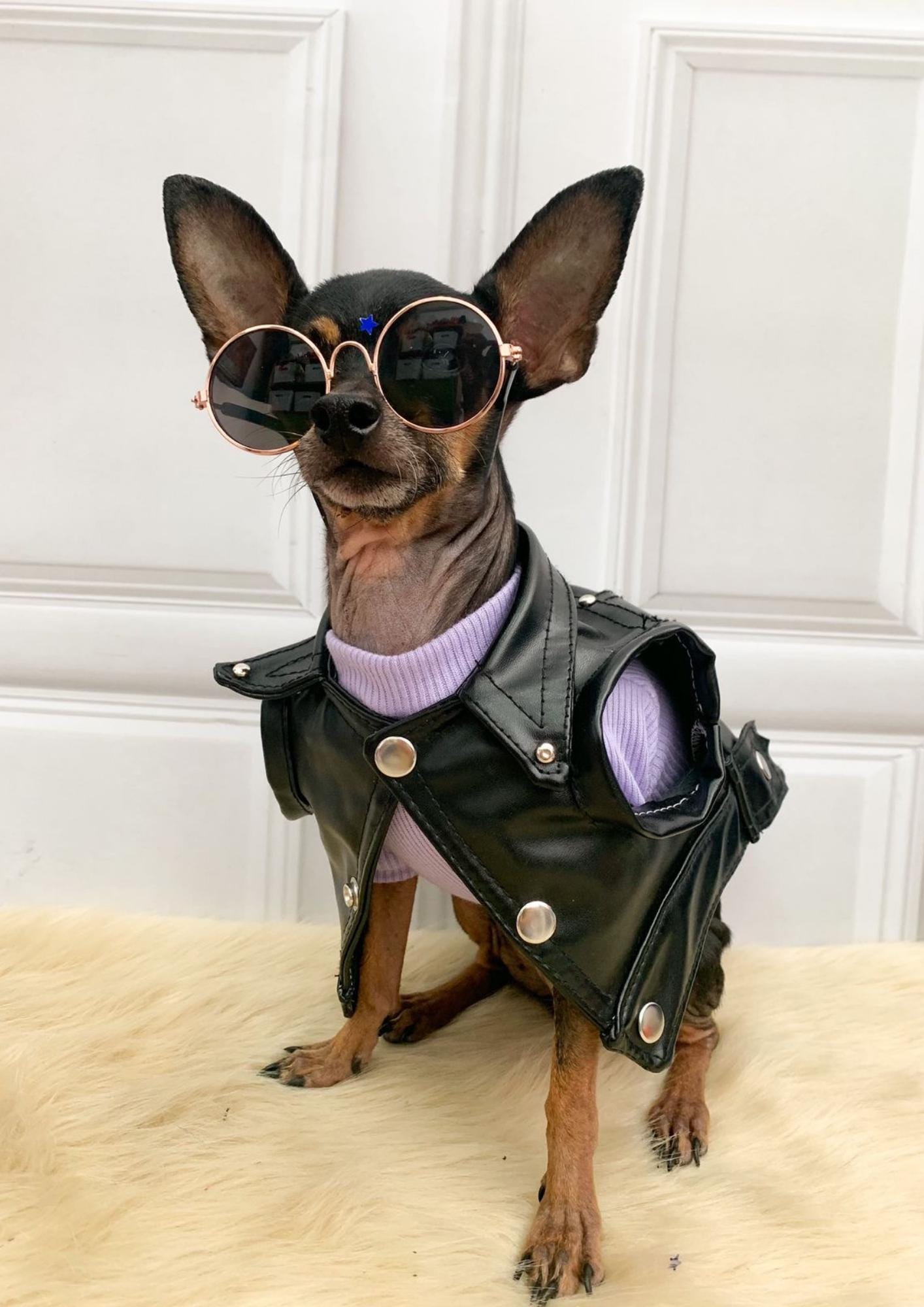 Motorcycle Vest Leather Vest For Dogs Biker Vest Doggles Dog