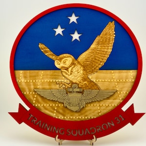 VT-31 Wise Owls, U.S Navy Advanced Multi-Engine Training Squadron Three-One, Squadron Logo 11.5” Plaque, USMC, USCG