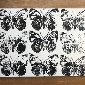 May include: A white background with nine black and white butterfly silhouettes printed on it.
