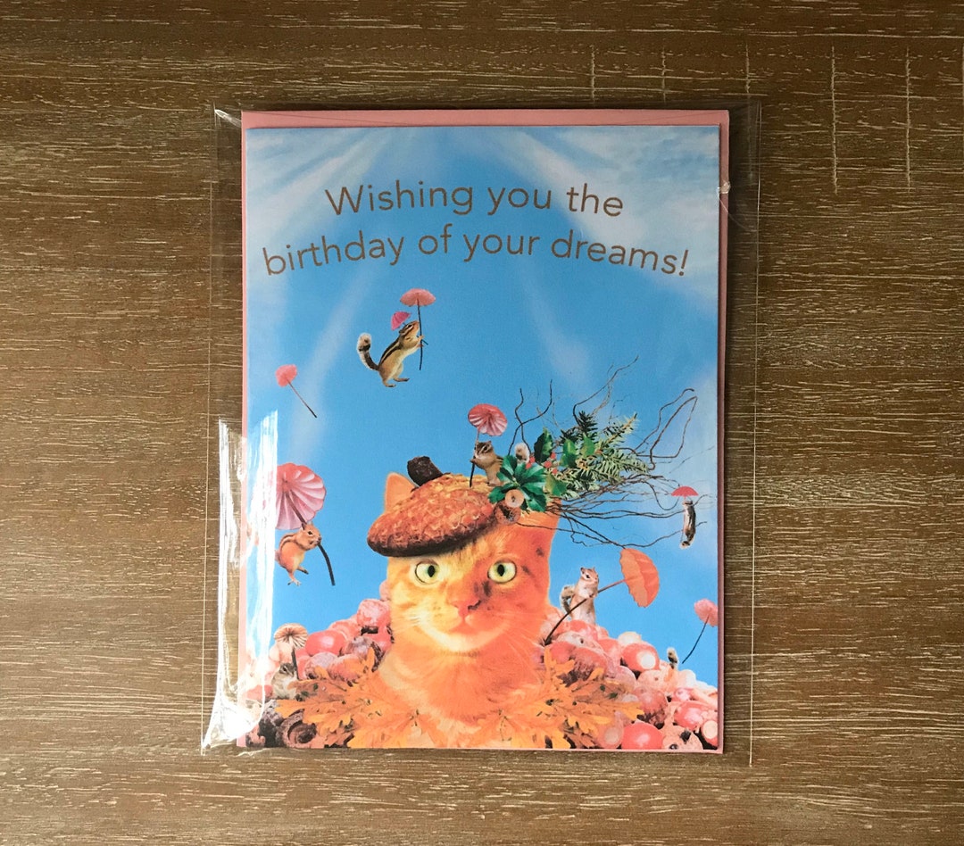 Orange Kitty Cat Happy Birthday Card With Pink Envelope. Artwork by ...