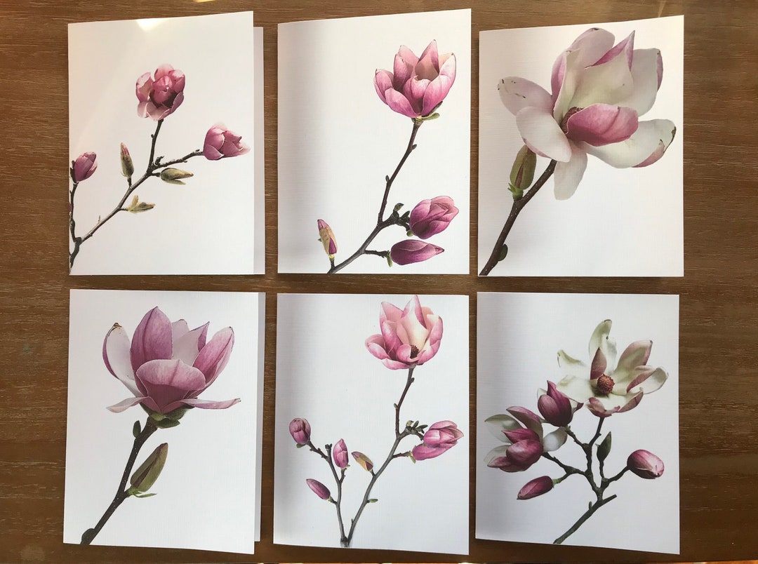 Magnolia Flower Blank Notecard Set - Floral Stationery, Set of 6 - Etsy