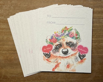 Raccoon Valentine's Day Cards for Kids: Watercolor Design, 32 Count