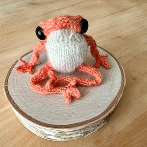 Knitted Frog, assorted colors, dotpebblesknits, as seen on Tiktok Coral