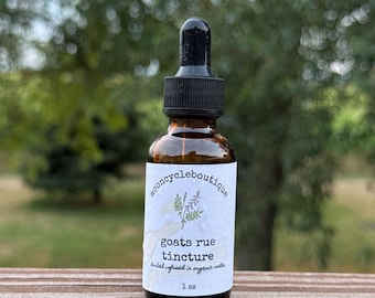 Goat’s Rue Tincture  | Lunar Infused | Organic Tincture