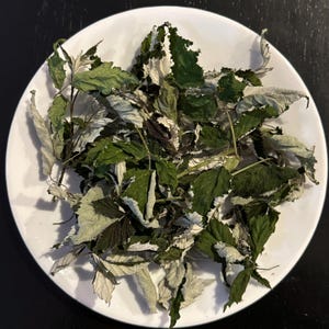 May include: A pile of dried green and white leaves on a white plate. The leaves are arranged in a random pattern and appear to be from a plant.