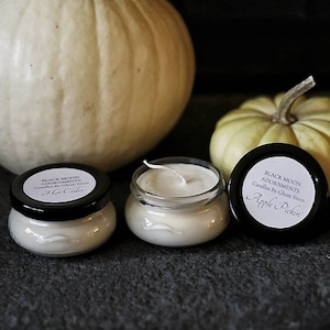 Soy Wax Candle - Assorted Seasonal Scents, Hot Cider, Apple Pickin&#39;