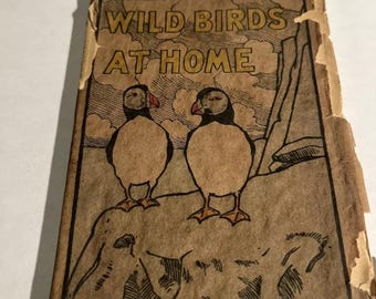 wild birds at home early photos