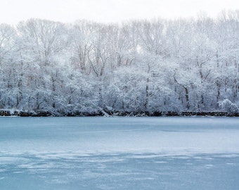 Winter's Ghosts  - Tod's Point, Greenwich, CT  - Fine Art Photograph, Print