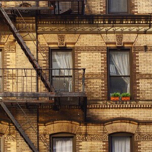 Urban Garden New York City Fine Art Photograph, Print imagem 1