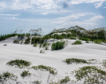 Carolina Coast II - Figure 8 Island, North Carolina - Fine Art Photograph, Print