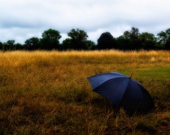 Umbrella  - Hyde Park, London  - Fine Art Photograph, Print