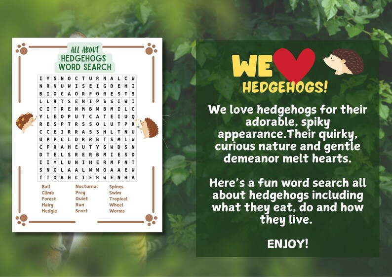 Hedgehog Word Search Puzzle: Fun Kids Game (printable) - Etsy
