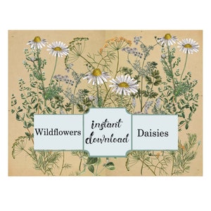 Botanical Collage Digital Download, Wildflowers Digital Background, Junk Journal Page