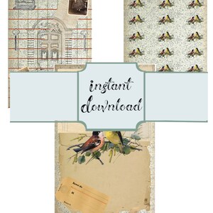 Birds Collage Printable Paper Kit, Ephemera , Junk Journal Pages, Coordinating Set of 3 Pages