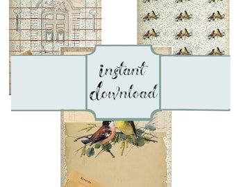 Birds Collage Printable Paper Kit, Ephemera , Junk Journal Pages, Coordinating Set of 3 Pages