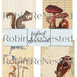 Fall Digital Ephemera, Autumn Downloads, Instant Download Woodland Cards, Journal vintage Papers, Mushrooms, Owl, Squirrel