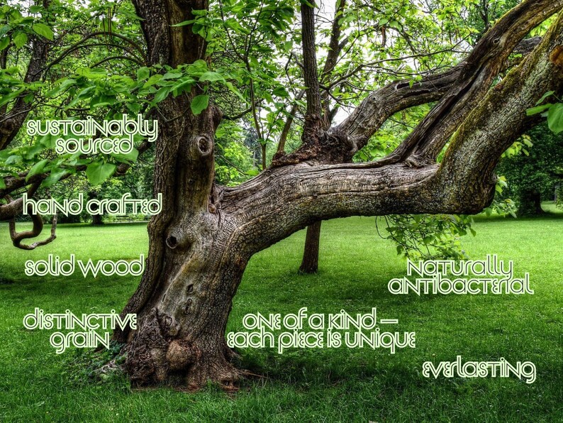May include: A large tree with a textured, brown trunk and branches, set against a green grassy lawn. The image includes text that reads "sustainably sourced", "hand crafted", "solid wood", "distinctive grain", "naturally antibacterial", "one of a kind - each piece is unique", and "everlasting".