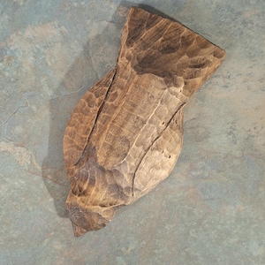 Pu&ograve; includere: Scultura in legno intagliata a mano di un uccello, con superficie strutturata e venatura naturale. La scultura &egrave; di colore marrone caldo e ha una forma unica e organica. La scultura dell'uccello &egrave; un oggetto decorativo.