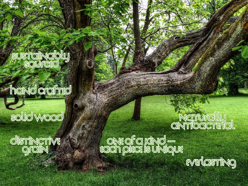 May include: A large tree with a textured, brown trunk and branches, set against a green grassy lawn. The image includes text that reads "sustainably sourced", "hand crafted", "solid wood", "distinctive grain", "naturally antibacterial", "one of a kind - each piece is unique", and "everlasting".