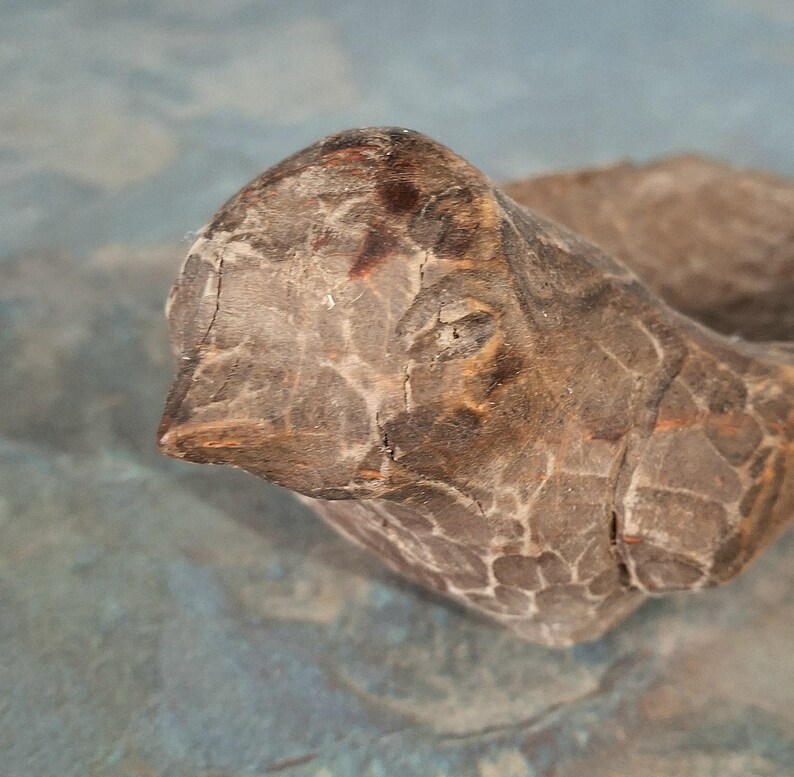 Pu&ograve; includere: Scultura di uccello in legno intagliato con superficie strutturata. L'uccello &egrave; principalmente marrone con accenti marrone scuro e venature del legno visibili. La scultura ha un becco e un occhio dettagliati.