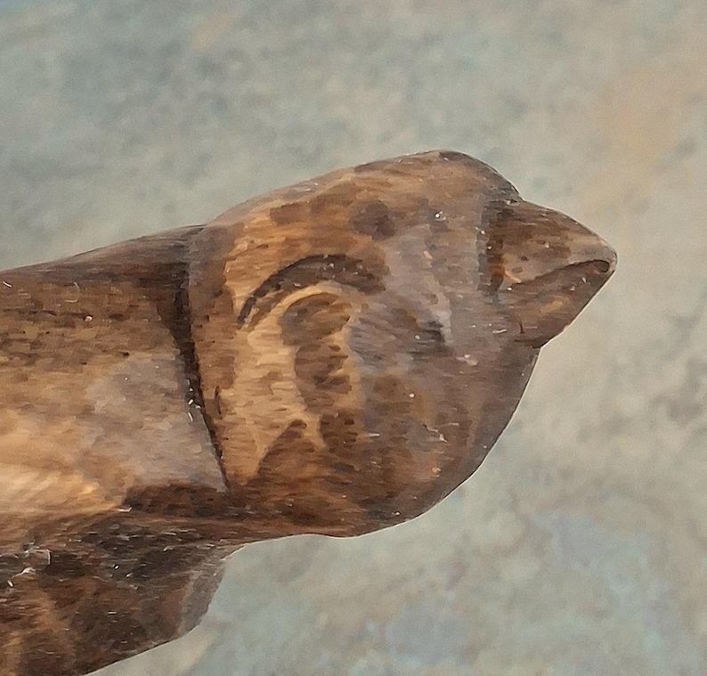 Pu&ograve; includere: Primo piano di una testa di uccello in legno intagliato a mano. Il becco dell'uccello &egrave; appuntito e il suo occhio &egrave; dettagliato. Il legno ha un colore marrone caldo naturale con venature e texture visibili, che suggeriscono un oggetto rustico o fatto a mano.