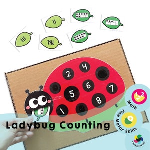 Puede incluir: Juego educativo de conteo de mariquitas. Una mariquita roja con puntos negros y los números 1-8 está adherida a una caja de cartón. Se incluyen tarjetas verdes en forma de hoja con marcas de conteo y patrones de puntos. El texto "Ladybug Counting" es visible.