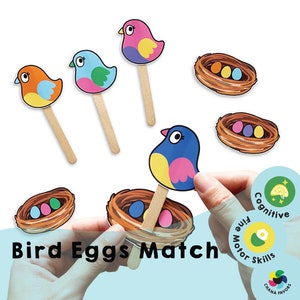 Bird Eggs Match Printable: Engaging Game for Kids, Seniors, and Caregiving Fun! Cognitive Development and Color Recognition Activities