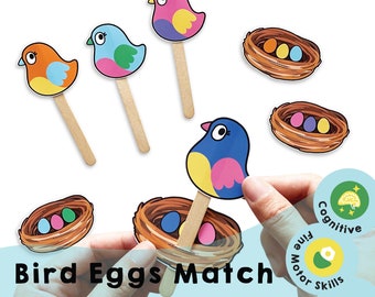 Bird Eggs Matching Game: Color Recognition Activity (Printable PDF)