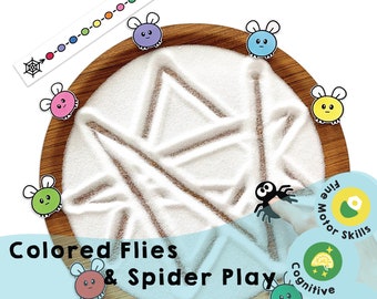 Colored Flies & Spider Sensory Game: Fine Motor Skills (PDF Download)
