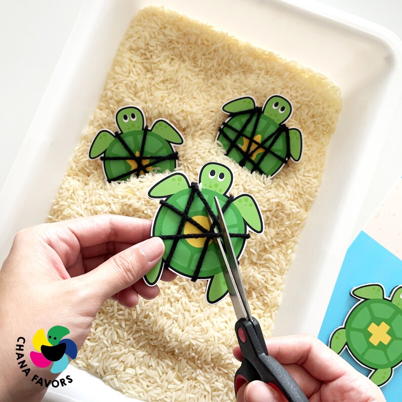 Shape Turtle Rescue Game: Printable Cognitive Skills Activity (PDF) - Etsy