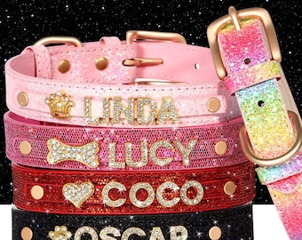 Personalized Dog Collar, Leather Dog Collar with Alphabets and Charms, Dog tag Necklace, Leather Collar, Gifts for dog lovers, Gift for him.