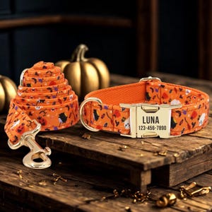 Könnte beinhalten: Ein orangefarbenes Hunde-Halsband und ein passendes Leinen-Set zum Thema Halloween. Das Halsband hat eine goldene Schnalle mit dem Namen "LUNA" und einer Telefonnummer. Das Set hat ein sich wiederholendes Muster aus Geistern, Fledermäusen und Kürbissen.