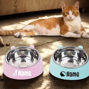 Custom Dog Bowl, Pet Bowls with name, Cat Bowl, Dog Bowl, Personalized Bowl, Gift For Dog Lover, Pet Gifts, Halloween Gift, Christmas Gift.