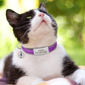 Collar de gato personalizado, collar de gato desmontable, collar de gatito, collar de cuero, collar de cuero para perro, collar de cachorro, regalo para gato, regalo para amantes de las mascotas, mascota.