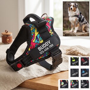 Personalized Dog Harness with Name Patch, Reflective No Pull Dog Vest, Adjustable Breathable Nylon Harness, Custom Pet Walking Gear.