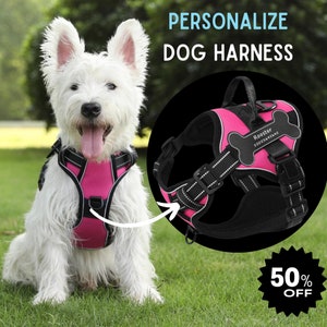 Dog Harness, Dog Harnesses with Bone Shaped Custom Name Patch, NO PULL Reflective Breathable Pet Harness,Harness For Dogs,Chest Harness,Pet.