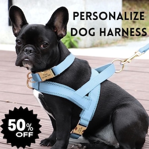 Personalized Leather Dog Harness and Leash Set