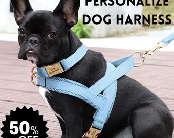 Conjunto de arnés y correa de cuero personalizado para perros