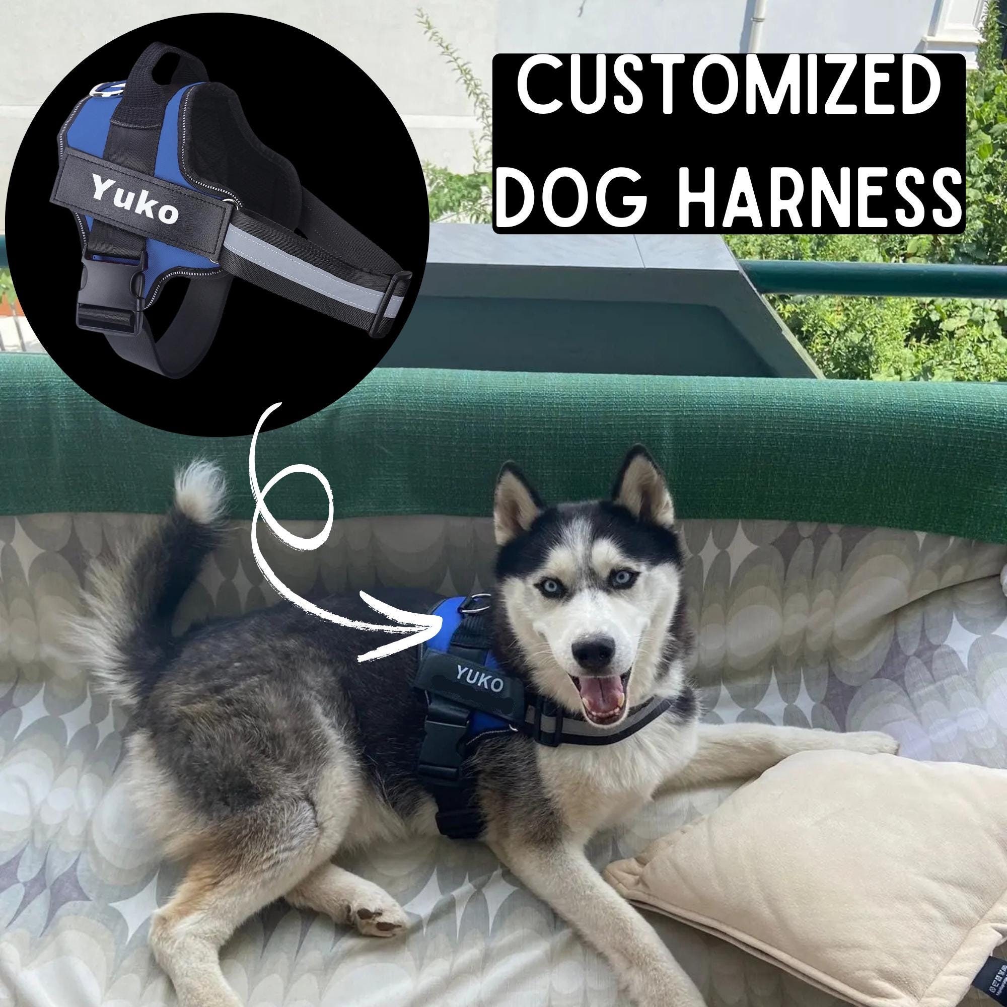 Pocket Dog Harness Canada