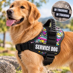 Könnte beinhalten: Ein Golden Retriever trägt ein schwarzes Hundegeschirr mit einem bunten geometrischen Muster in Pink, Gelb und Blau. Das Geschirr hat einen schwarzen Griff und einen Aufnäher mit der Aufschrift SERVICE DOG. Zwei weitere schwarze Aufnäher zeigen IN TRAINING.