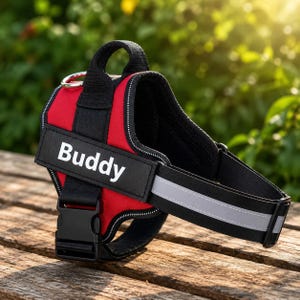 May include: A red dog harness featuring a black strap with the white text Buddy printed on the side. The harness includes a black plastic buckle, a metal D-ring for a leash, a top handle, and reflective silver strips along the black fabric edges.